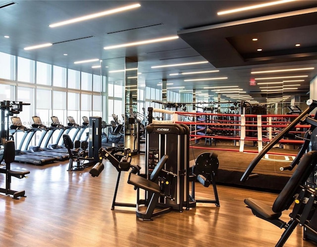 exercise room with a wall of windows and light hardwood / wood-style flooring