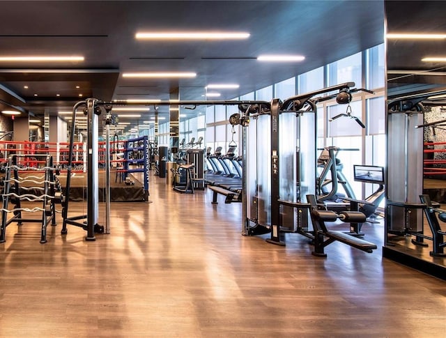 gym featuring expansive windows and dark wood-type flooring