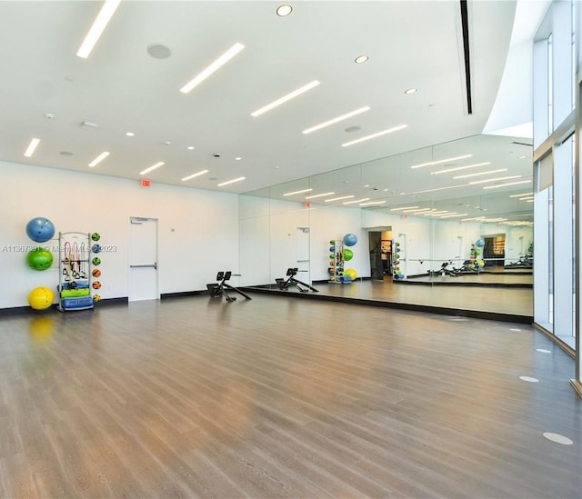 exercise room featuring wood-type flooring