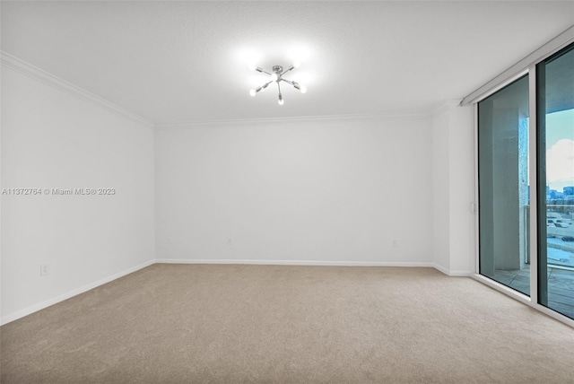 carpeted spare room featuring ornamental molding