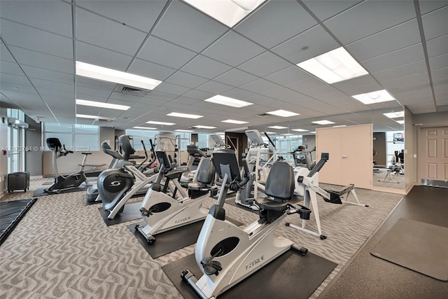 workout area with a paneled ceiling and light colored carpet