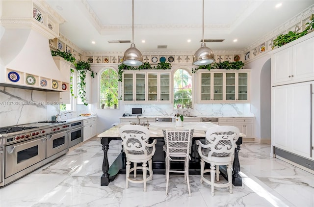 kitchen featuring a kitchen island with sink, a raised ceiling, stainless steel appliances, premium range hood, and tasteful backsplash