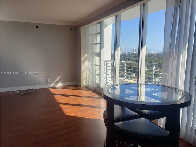 empty room featuring dark hardwood / wood-style floors