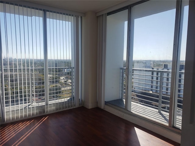 unfurnished room featuring plenty of natural light and dark hardwood / wood-style floors