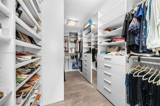 spacious closet featuring light hardwood / wood-style flooring