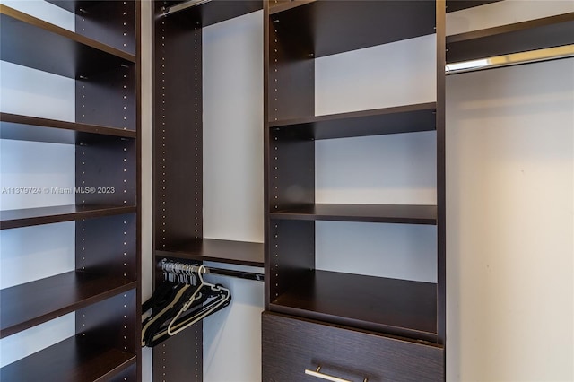 view of walk in closet