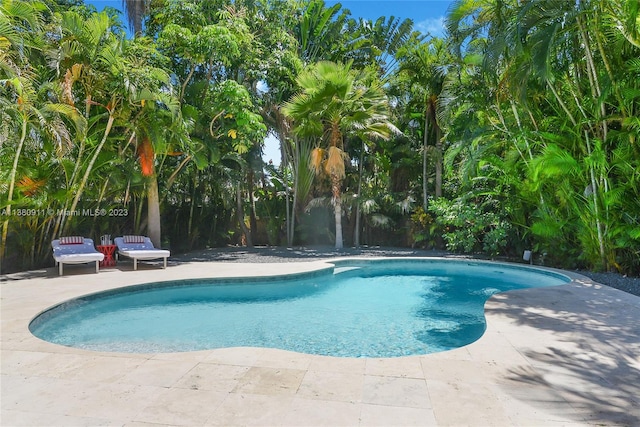 view of swimming pool with a patio