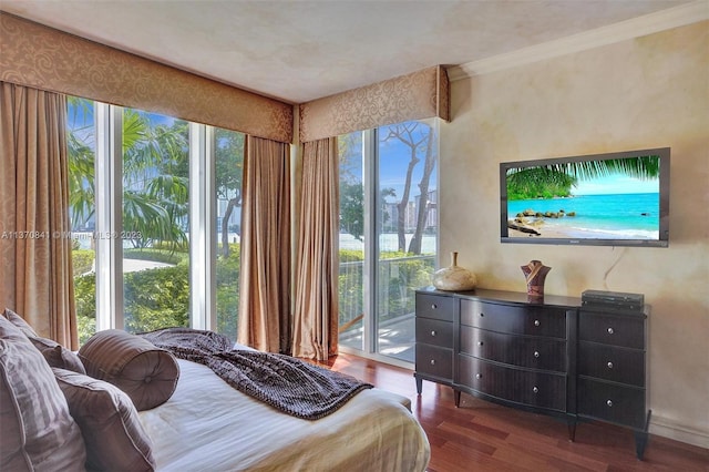 bedroom with access to exterior, multiple windows, and dark hardwood / wood-style floors