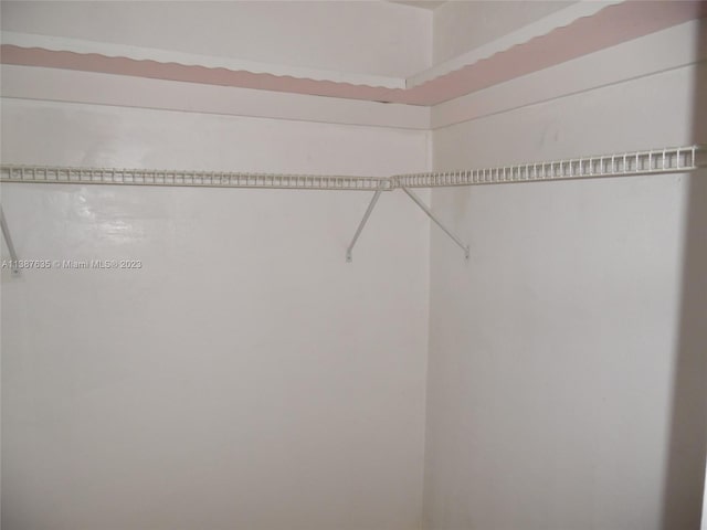 view of spacious closet