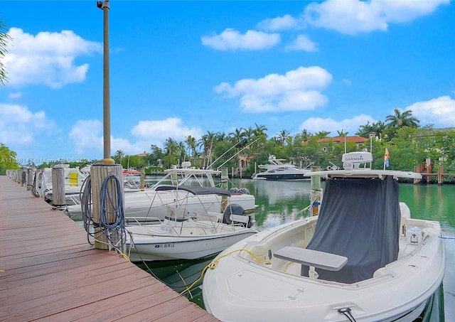 view of dock with a water view