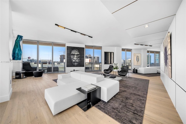 living room with floor to ceiling windows and light hardwood / wood-style flooring