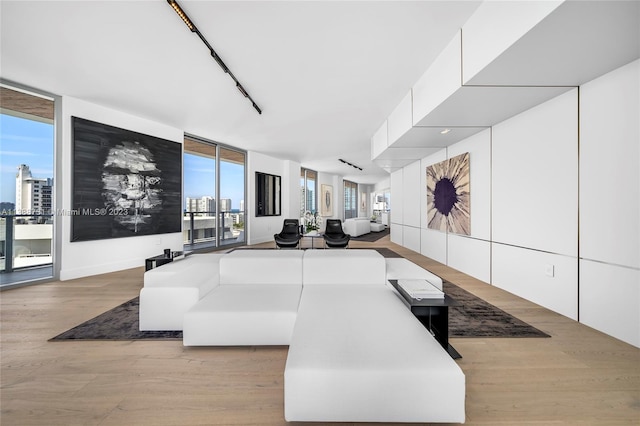 living room featuring light hardwood / wood-style floors and a wall of windows