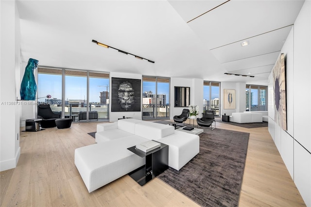 living room with a wall of windows and light hardwood / wood-style flooring