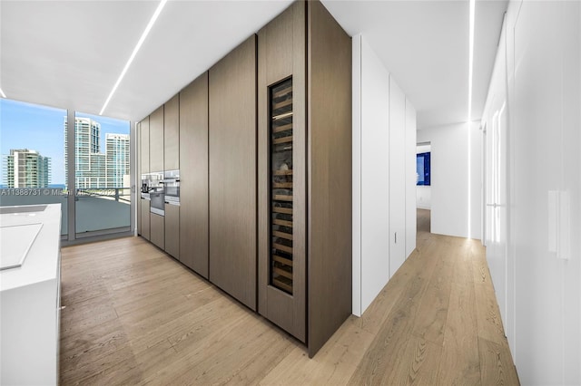 hallway featuring light hardwood / wood-style flooring