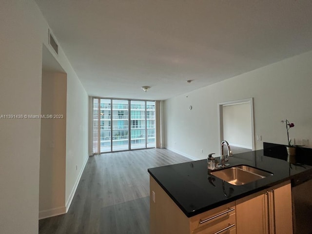 kitchen with hardwood / wood-style floors, sink, and expansive windows