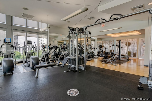 workout area featuring hardwood / wood-style flooring