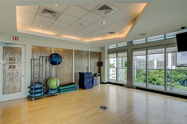 workout room featuring hardwood / wood-style flooring, plenty of natural light, and a tray ceiling