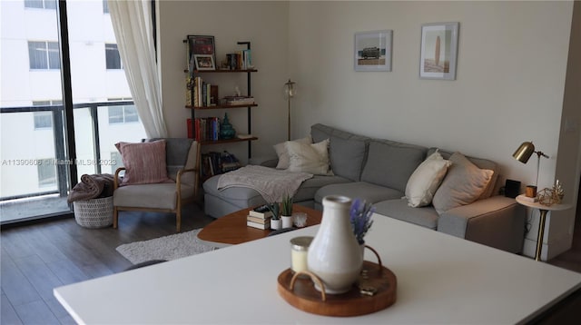 living room with wood-type flooring