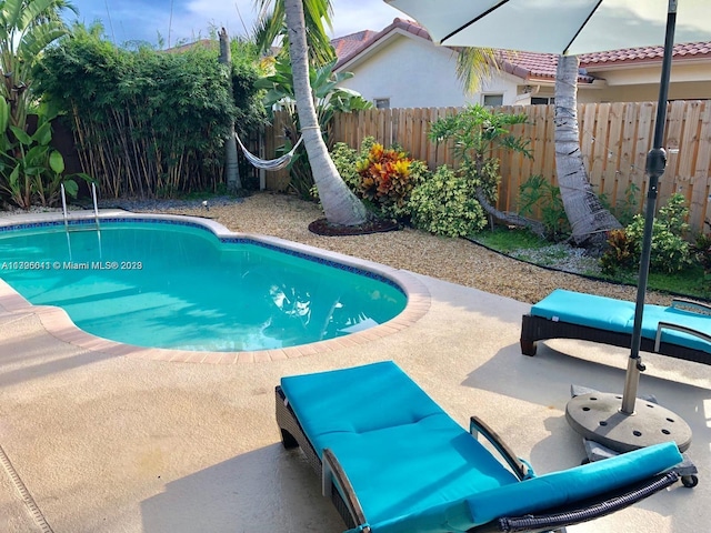 view of pool featuring a patio