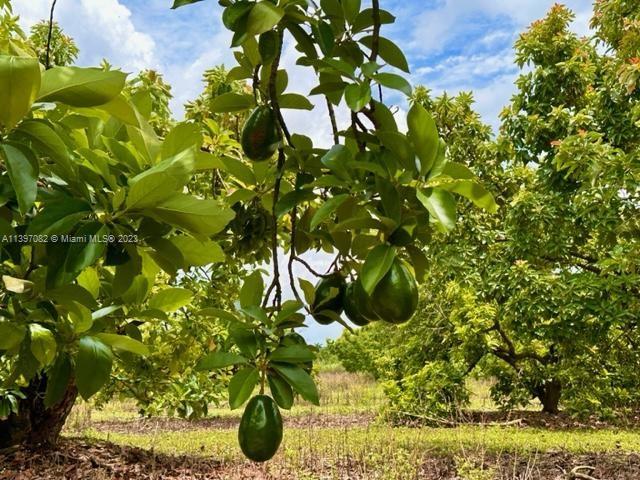 25000 SW 167th Ave, Homestead FL, 33031 land for sale