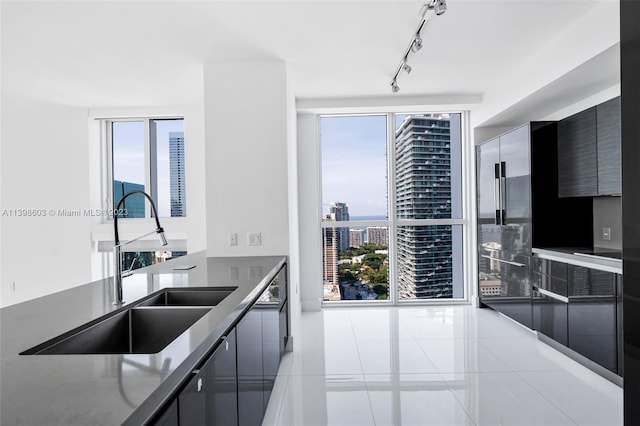 kitchen featuring plenty of natural light, rail lighting, sink, and light tile floors