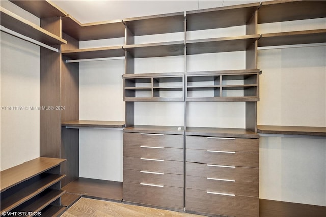 spacious closet featuring dark hardwood / wood-style flooring