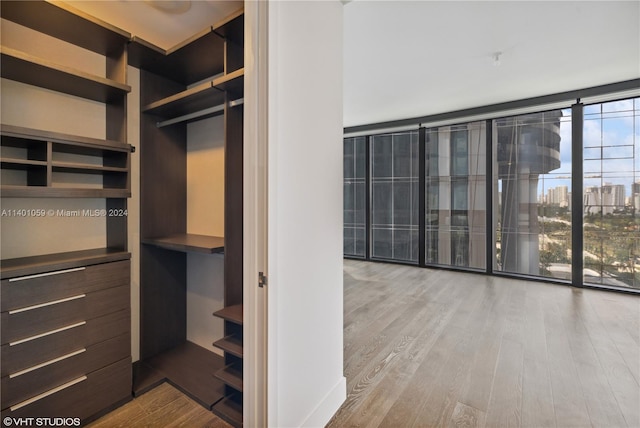 spacious closet with light wood-type flooring