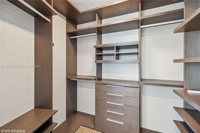 spacious closet featuring dark hardwood / wood-style flooring