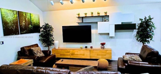 living room with lofted ceiling