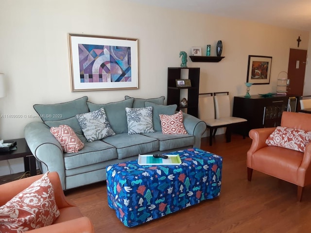 living room with hardwood / wood-style floors