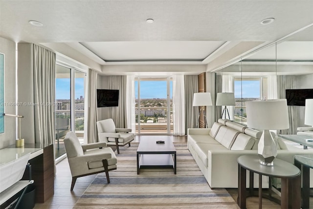 living room with a tray ceiling and hardwood / wood-style floors