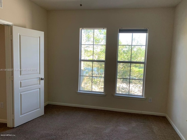 carpeted empty room featuring a healthy amount of sunlight