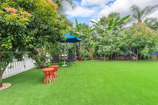 view of yard featuring a fenced backyard