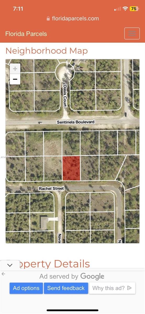 1147 Rachel St E, Lehigh Acres FL, 33974 land for sale