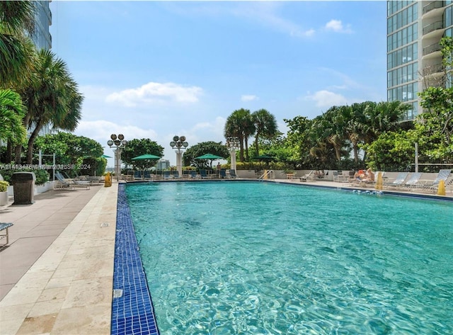 view of swimming pool