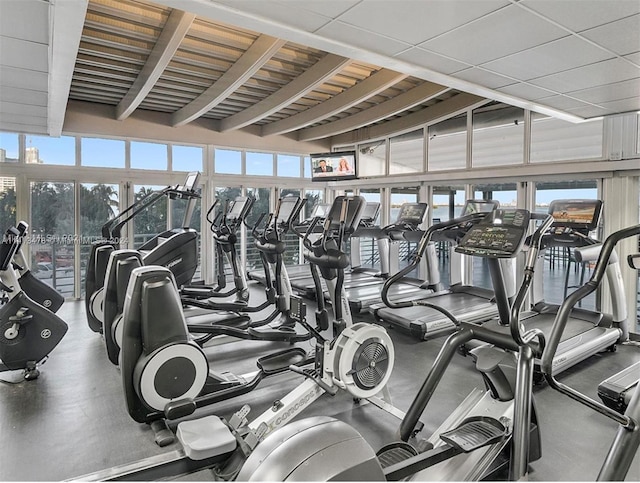 gym featuring plenty of natural light