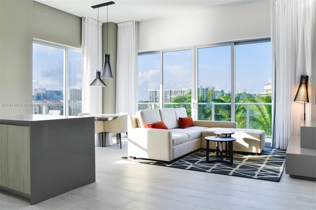 living room with light hardwood / wood-style flooring and a wealth of natural light