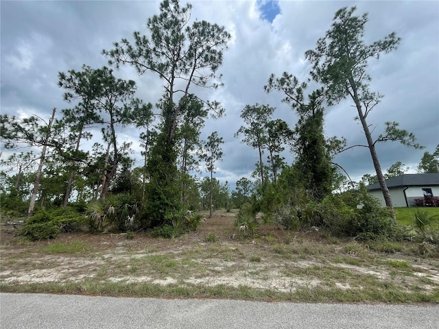 4502 E 7th St, Lehigh Acres FL, 33892 land for sale