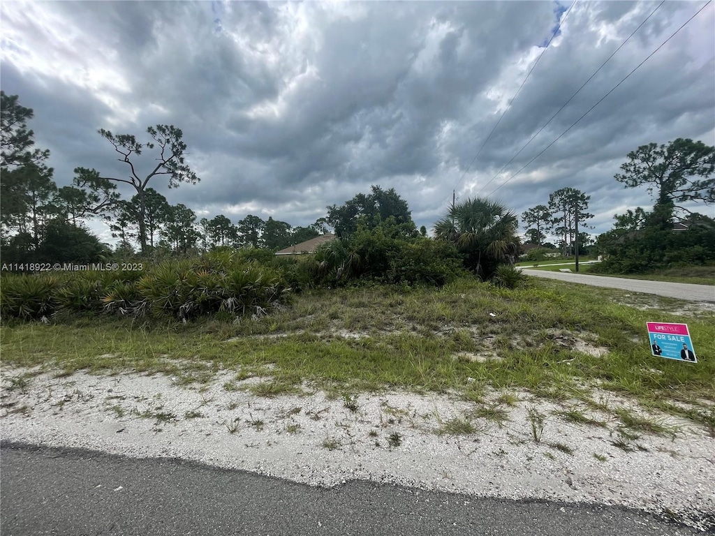 1000 W 13th St, Lehigh Acres, FL 33972 - photo 2