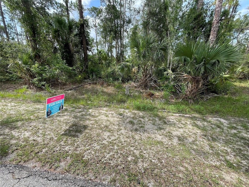 3305 E 21st St, Lehigh Acres, FL 33920 - photo 1