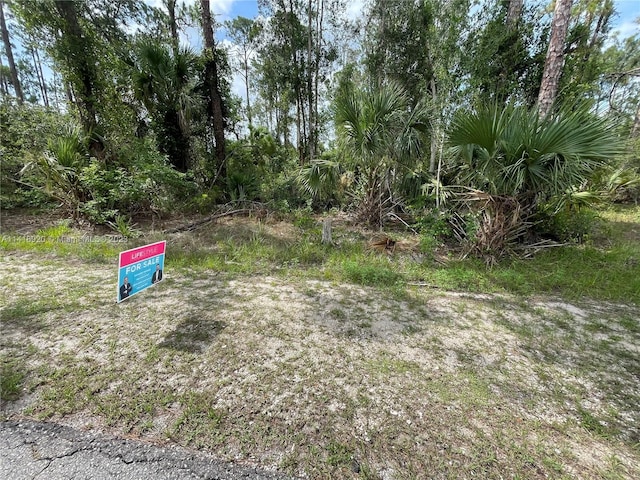 3305 E 21st St, Lehigh Acres FL, 33920 land for sale