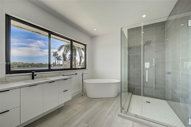 bathroom with hardwood / wood-style floors, an enclosed shower, and vanity