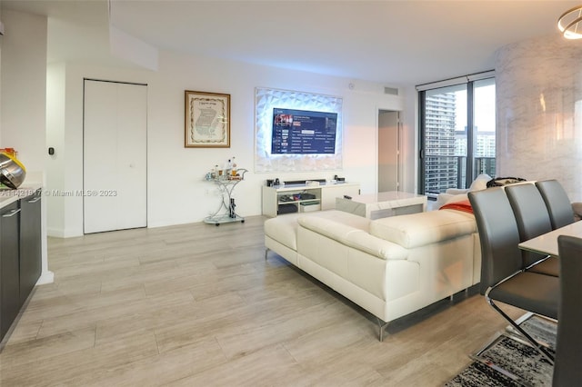 living room with expansive windows