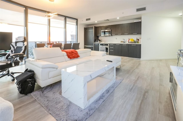 living room with light hardwood / wood-style floors, expansive windows, and sink