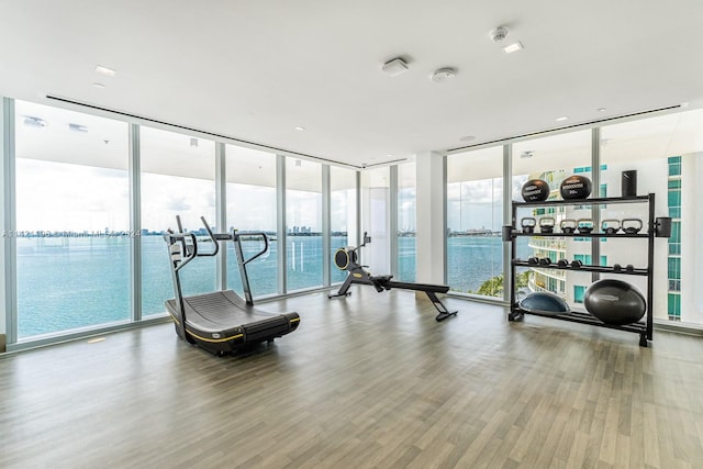 gym featuring a water view, hardwood / wood-style floors, and a wall of windows