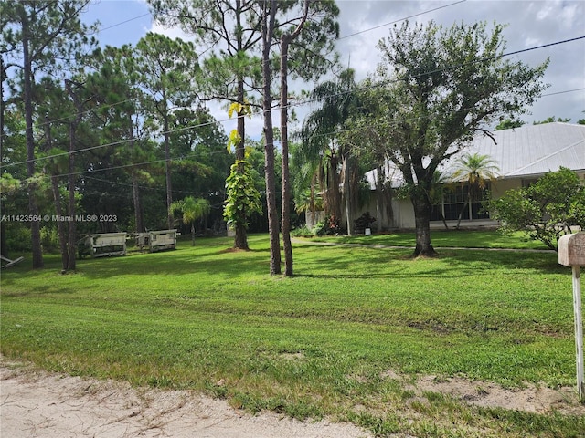 view of yard