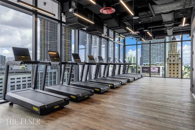 workout area with a healthy amount of sunlight, a wall of windows, and wood-type flooring