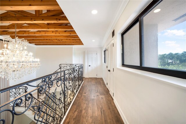 corridor featuring a notable chandelier, dark hardwood / wood-style floors, and ornamental molding