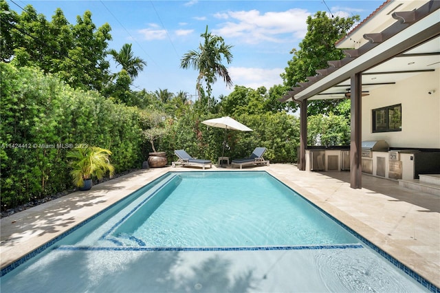 view of swimming pool with a patio and area for grilling