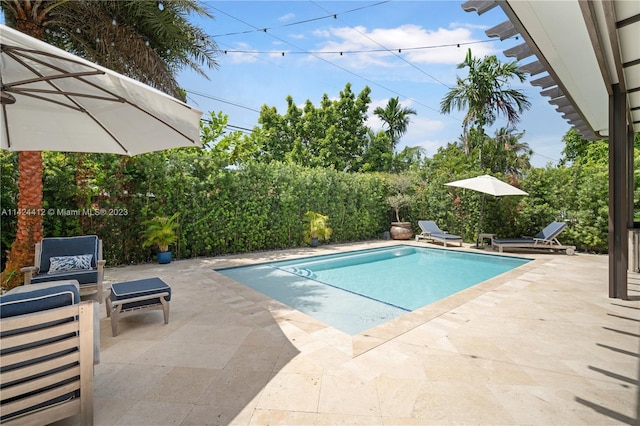 view of pool with a patio area